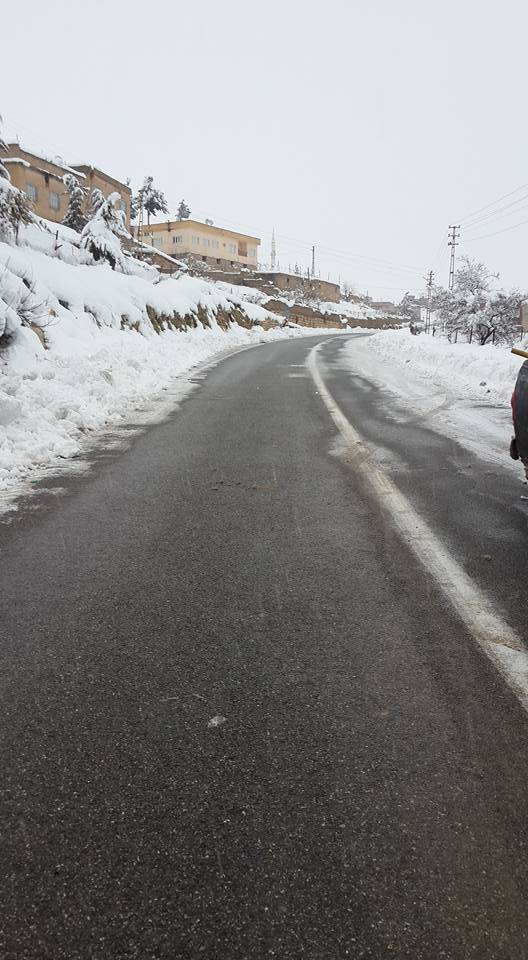 Tillo İkizbağlar Köyü Resimleri 3