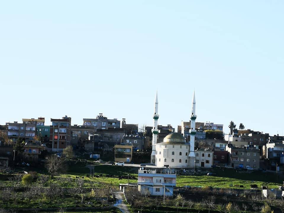 Tillo İkizbağlar Köyü Resimleri 5