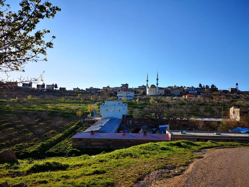 Tillo İkizbağlar Köyü Resimleri 7
