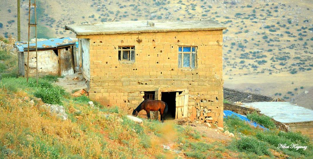 Siirt Beşyol Köyü Resimleri 2