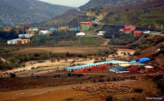 Siirt Demirkaya Köyü Resimleri 1