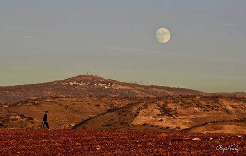 Siirt Doluharman Köyü Resimleri 4