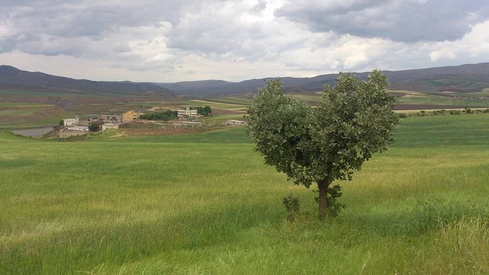 Siirt Eğlence Köyü Resimleri 1