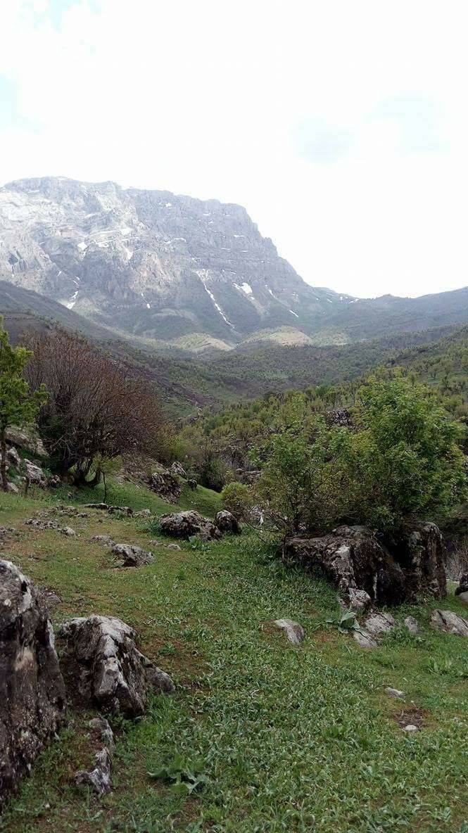 Siirt Kışlacık Köyü Resimleri 3