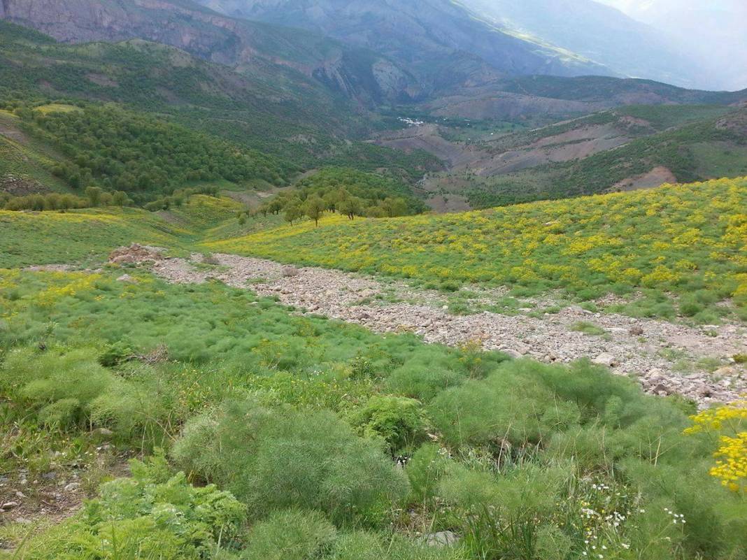 Siirt Kışlacık Köyü Resimleri 5