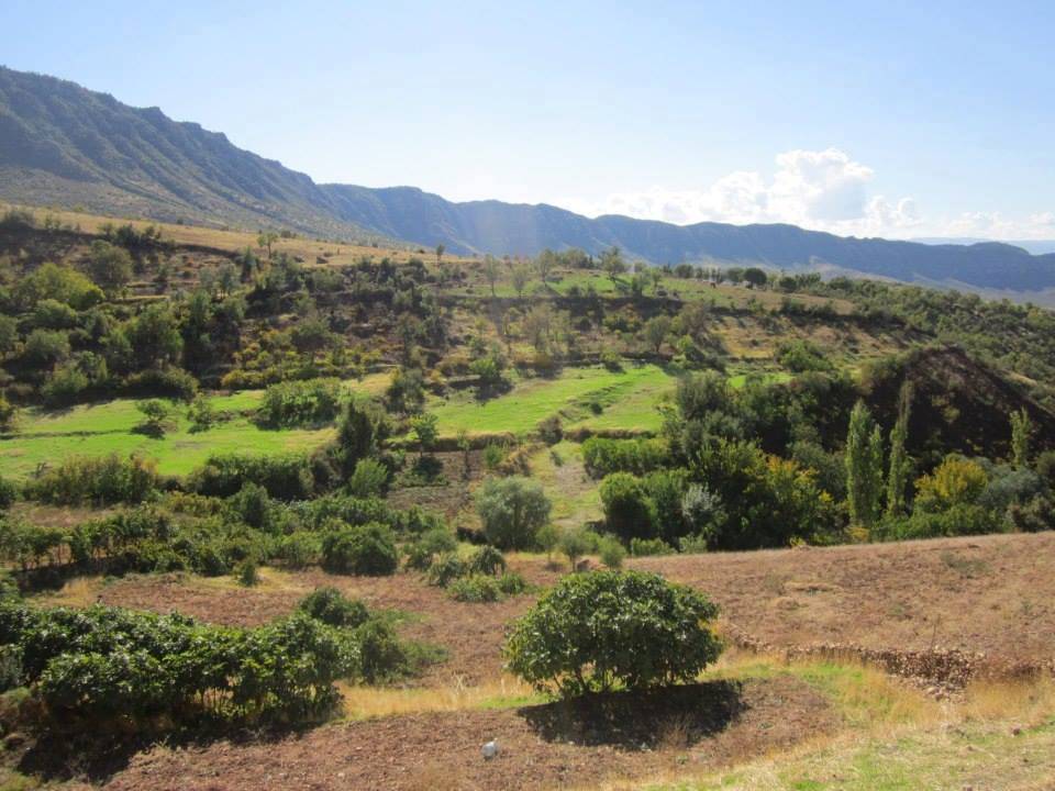 Siirt Meşelidere Köyü Resimleri 11