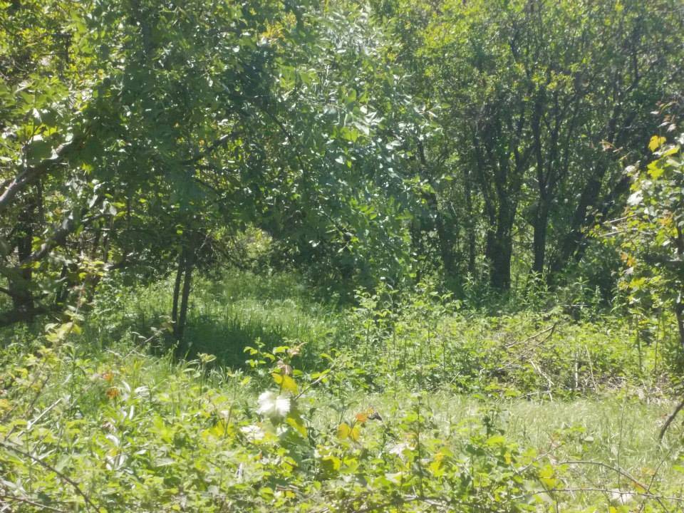 Siirt Meşelidere Köyü Resimleri 4