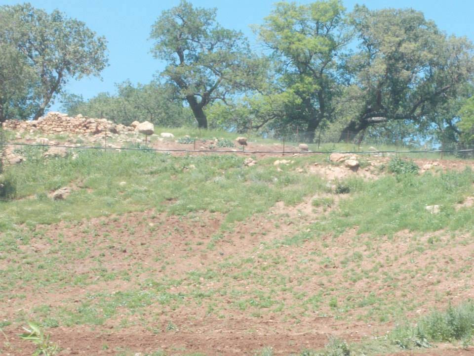 Siirt Meşelidere Köyü Resimleri 5