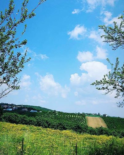 Söğütlü Fındıklı Köyü Resimleri 11