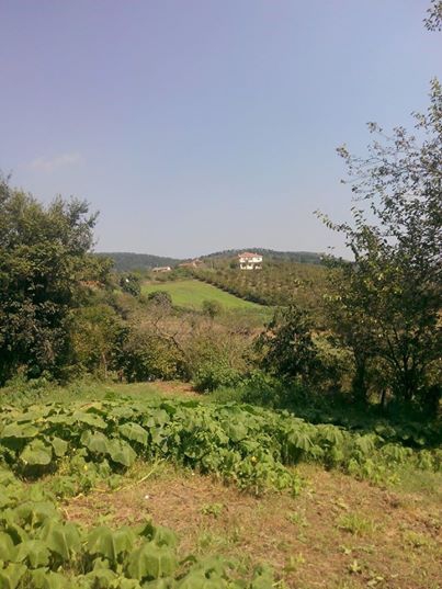 Söğütlü Fındıklı Köyü Resimleri 12