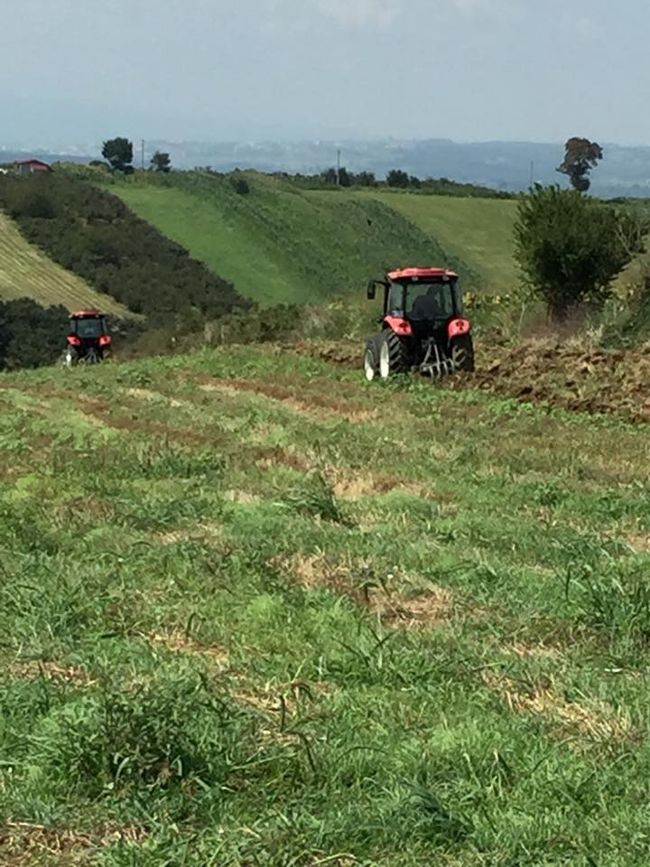 Söğütlü Fındıklı Köyü Resimleri 3