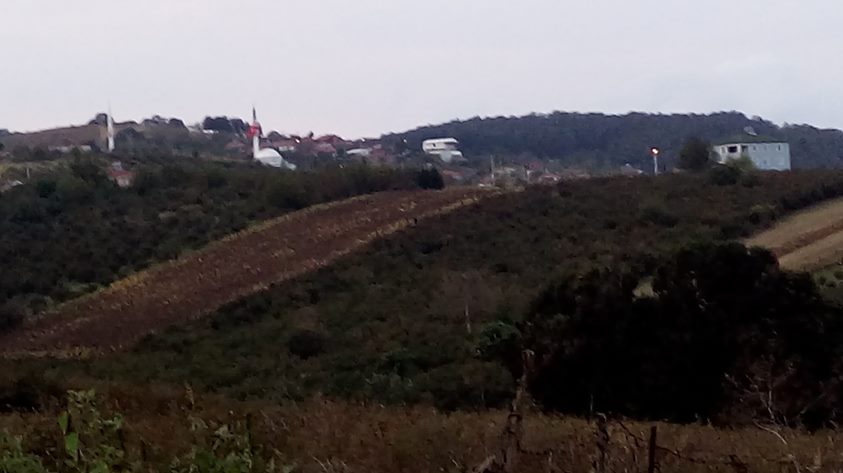 Söğütlü Fındıklı Köyü Resimleri 4