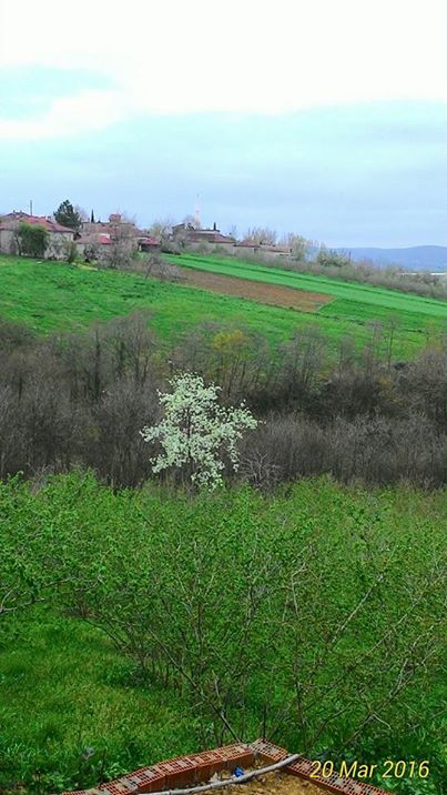 Söğütlü Fındıklı Köyü Resimleri 6