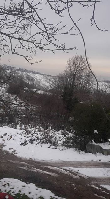 Söğütlü Fındıklı Köyü Resimleri 8