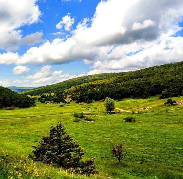 Akdağmadeni Ağaçlı Köyü Resimleri 13