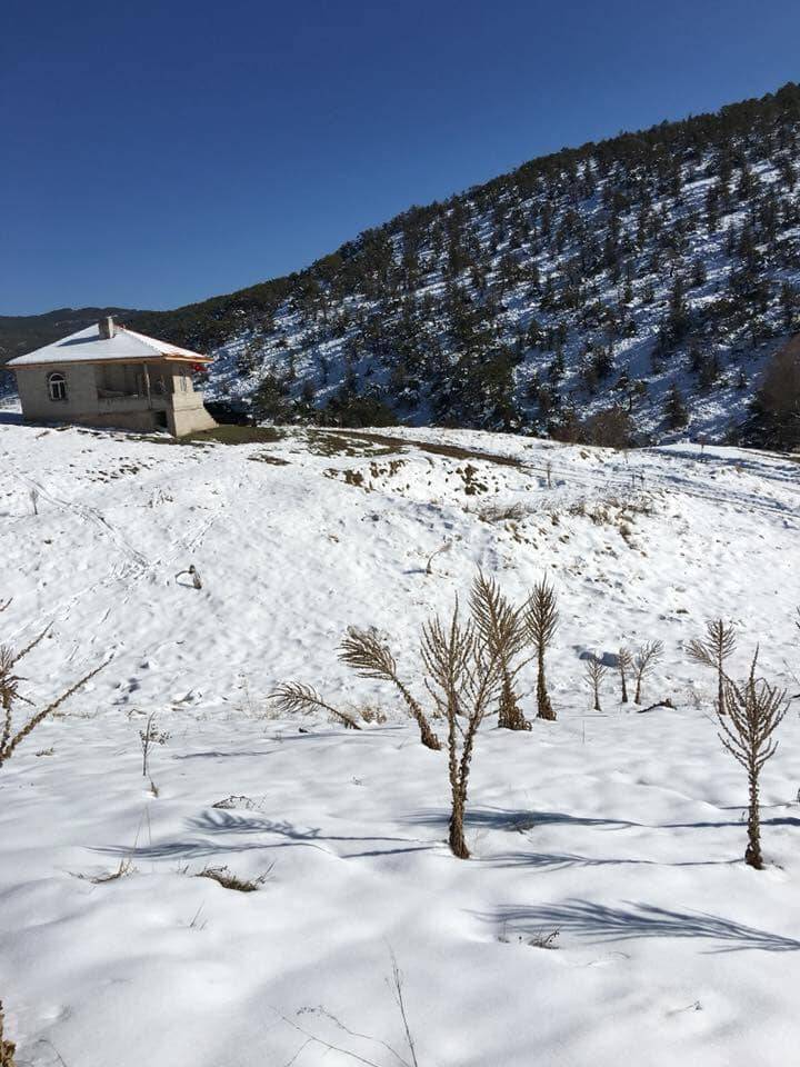 Akdağmadeni Ağaçlı Köyü Resimleri 4