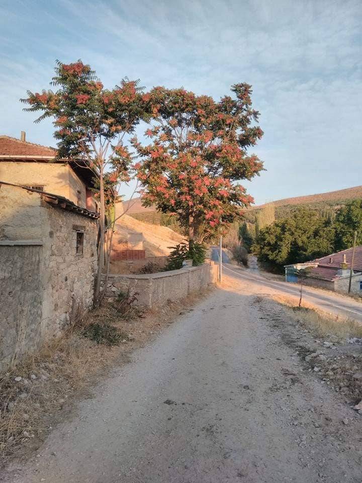 Akdağmadeni Ağaçlı Köyü Resimleri 9