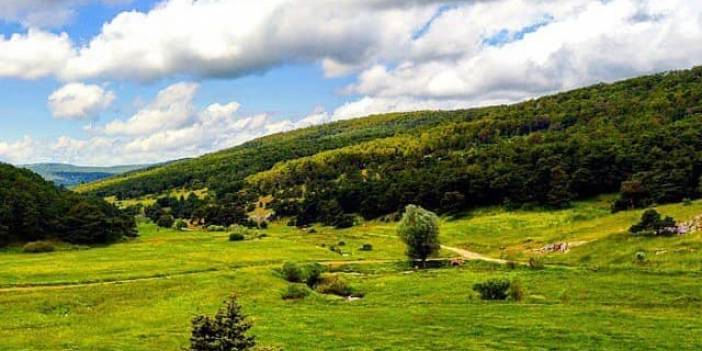 Akdağmadeni Ağaçlı Köyü Resimleri