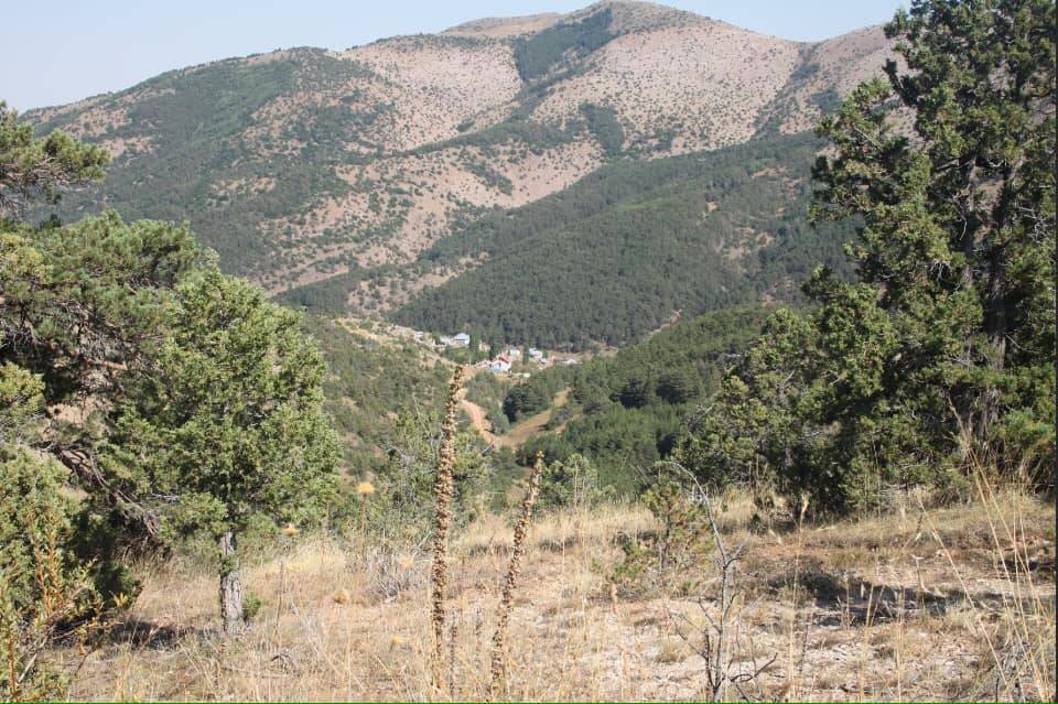 Akdağmadeni Arslanlı Köyü Resimleri 2