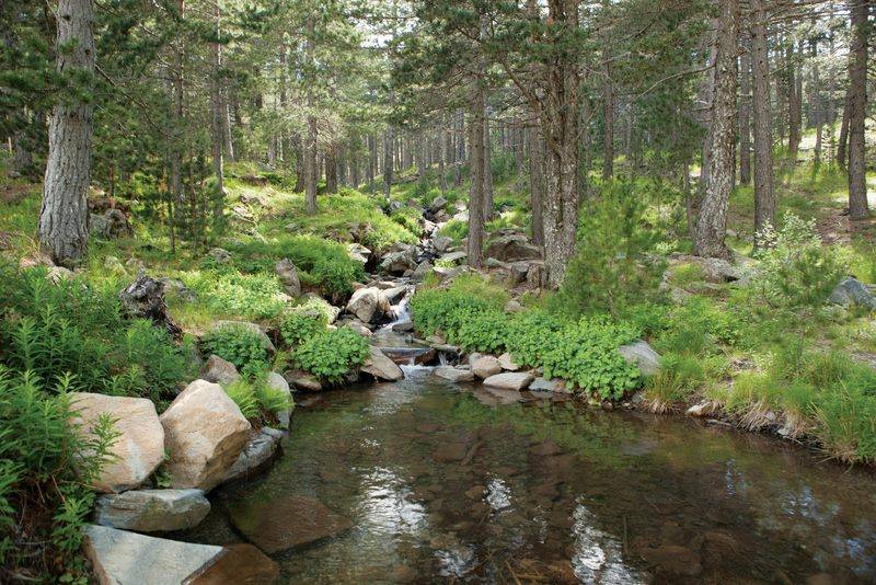 Edremit Köklü Köyü Resimleri 1