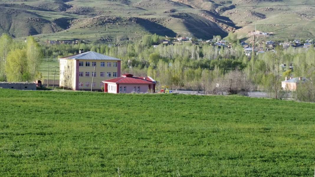 Edremit Köprüler Köyü Resimleri 2