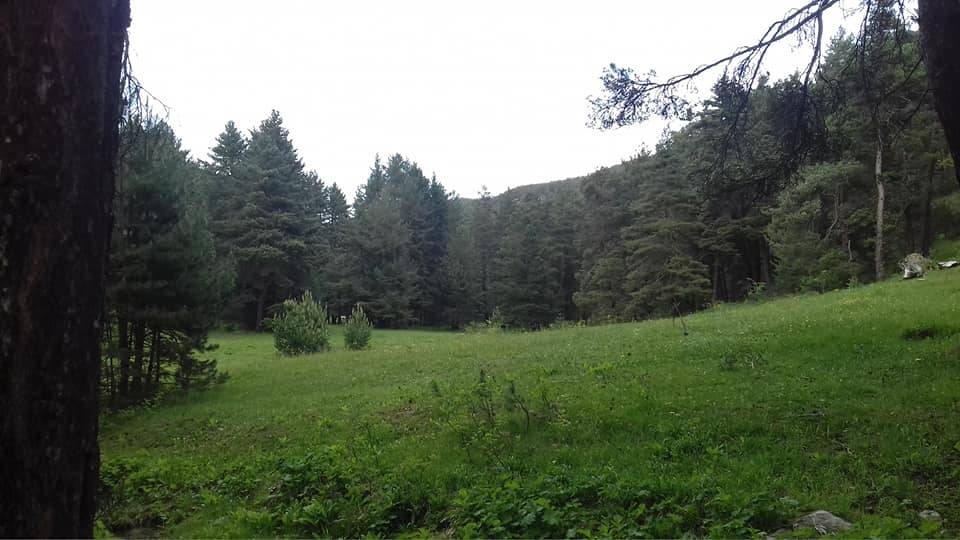 Akdağmadeni Başçatak Köyü Resimleri 10