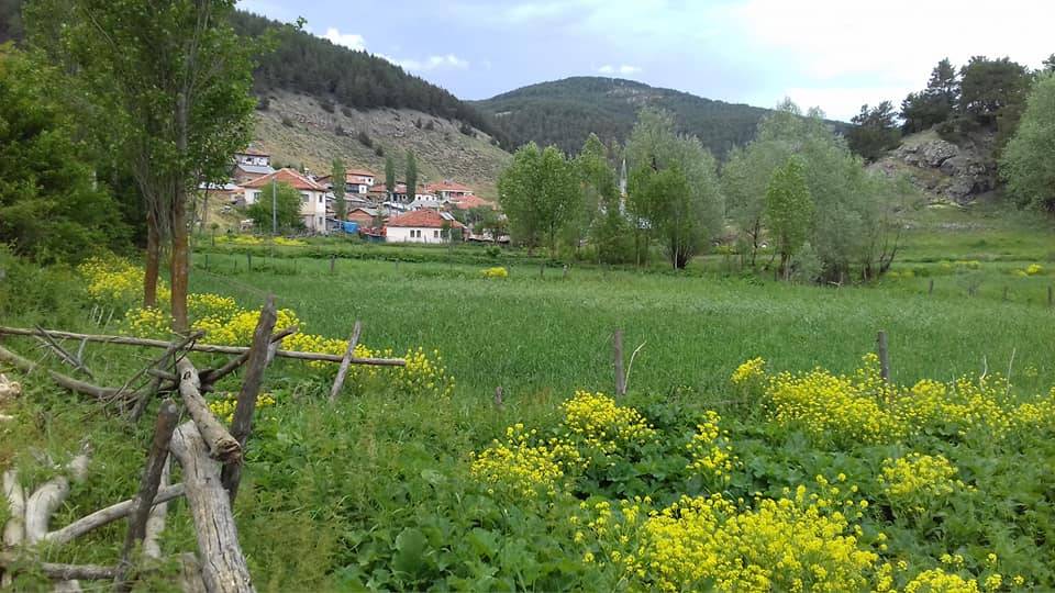 Akdağmadeni Başçatak Köyü Resimleri 11