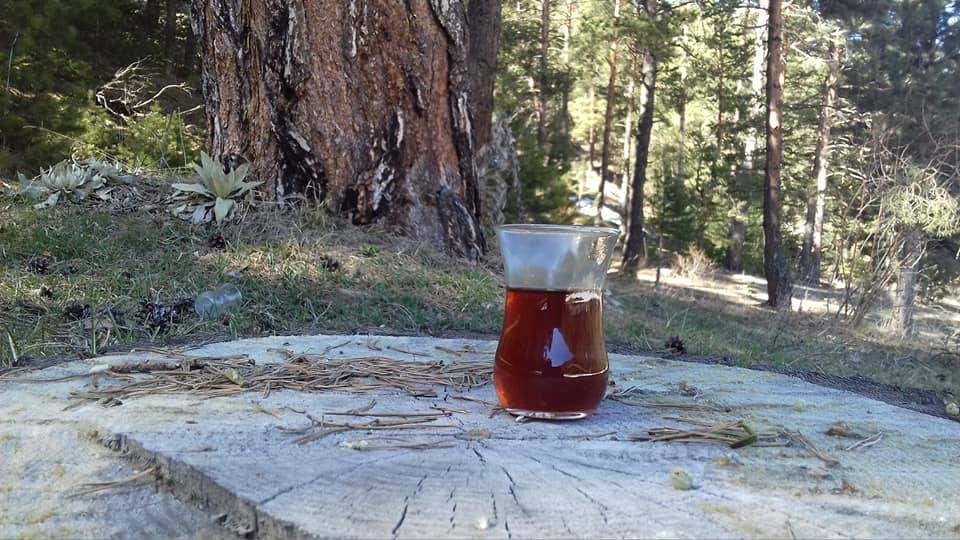 Akdağmadeni Başçatak Köyü Resimleri 3