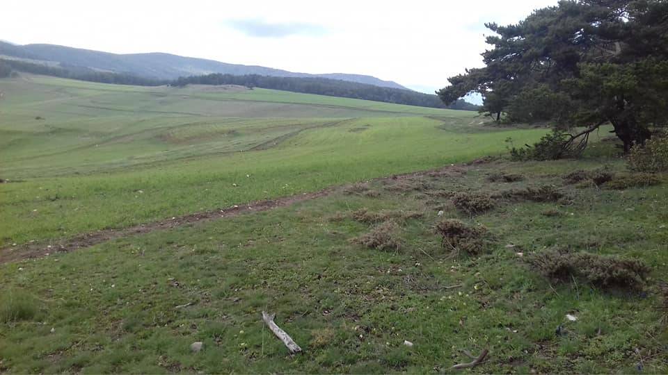 Akdağmadeni Başçatak Köyü Resimleri 5