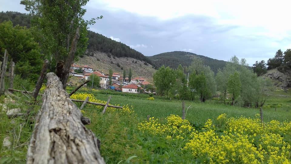 Akdağmadeni Başçatak Köyü Resimleri 6