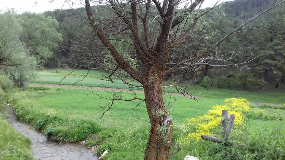 Akdağmadeni Başçatak Köyü Resimleri 7