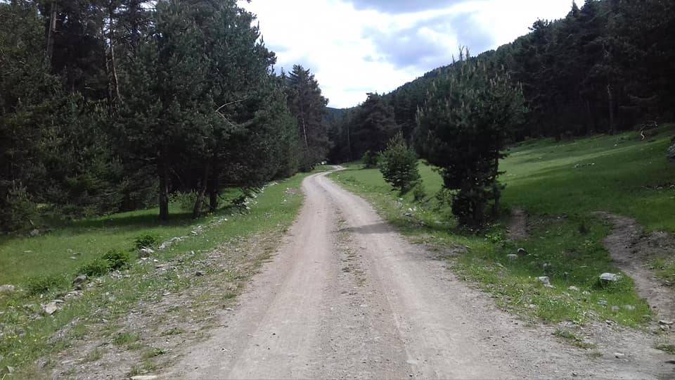 Akdağmadeni Başçatak Köyü Resimleri 9