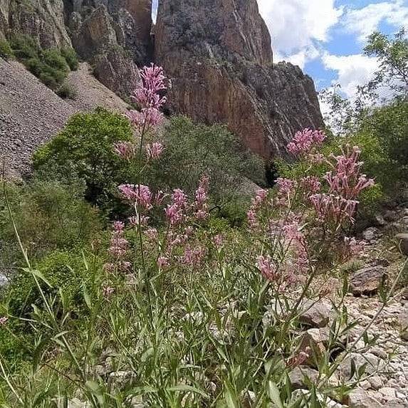 Akdağmadeni Boğazköy Resimleri 11