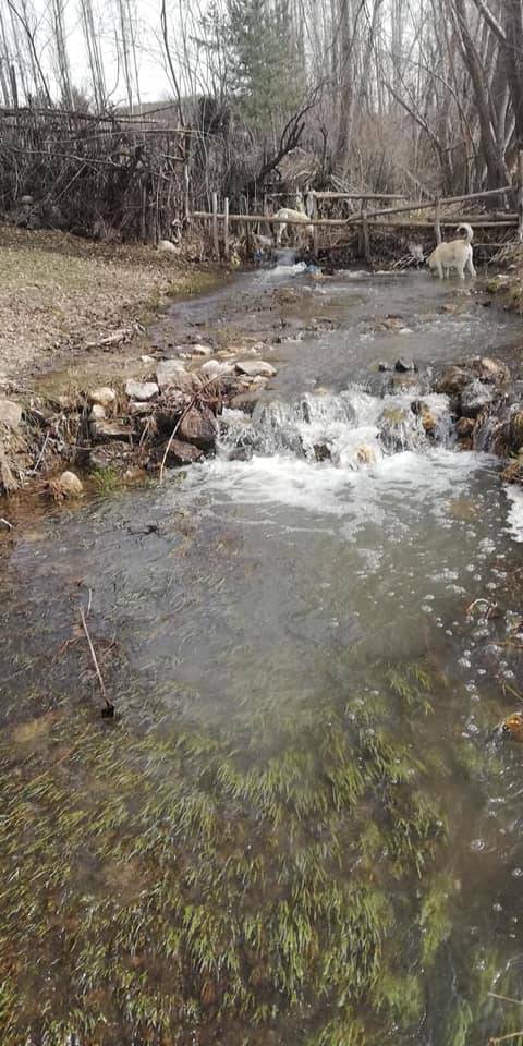Akdağmadeni Boğazköy Resimleri 3