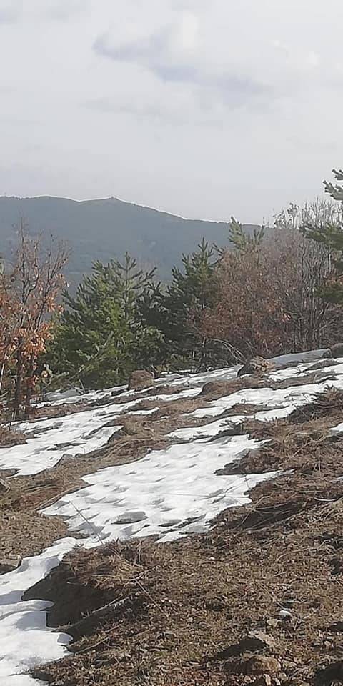 Akdağmadeni Boğazköy Resimleri 6