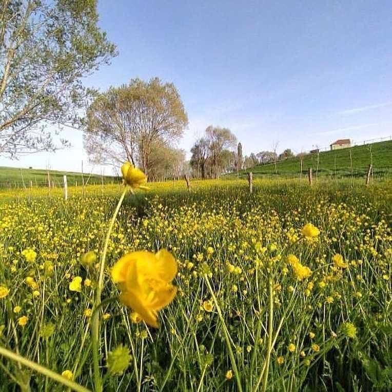 Akdağmadeni Boğazköy Resimleri 7