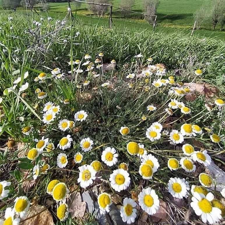 Akdağmadeni Boğazköy Resimleri 8