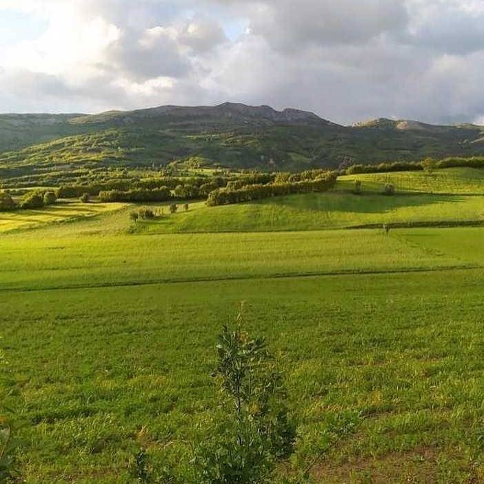 Akdağmadeni Boğazköy Resimleri 9