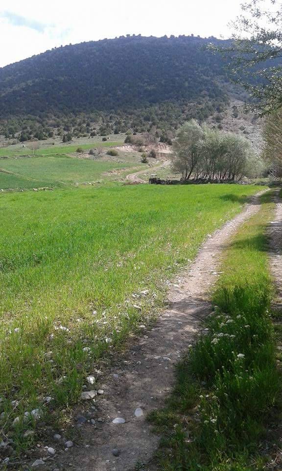 Akdağmadeni Boyalık Köyü Resimleri 8