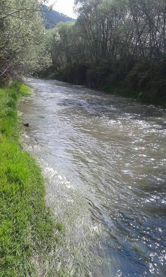 Akdağmadeni Boyalık Köyü Resimleri 9