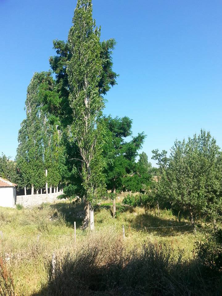 Akdağmadeni Bulgurlu Köyü Resimleri 3