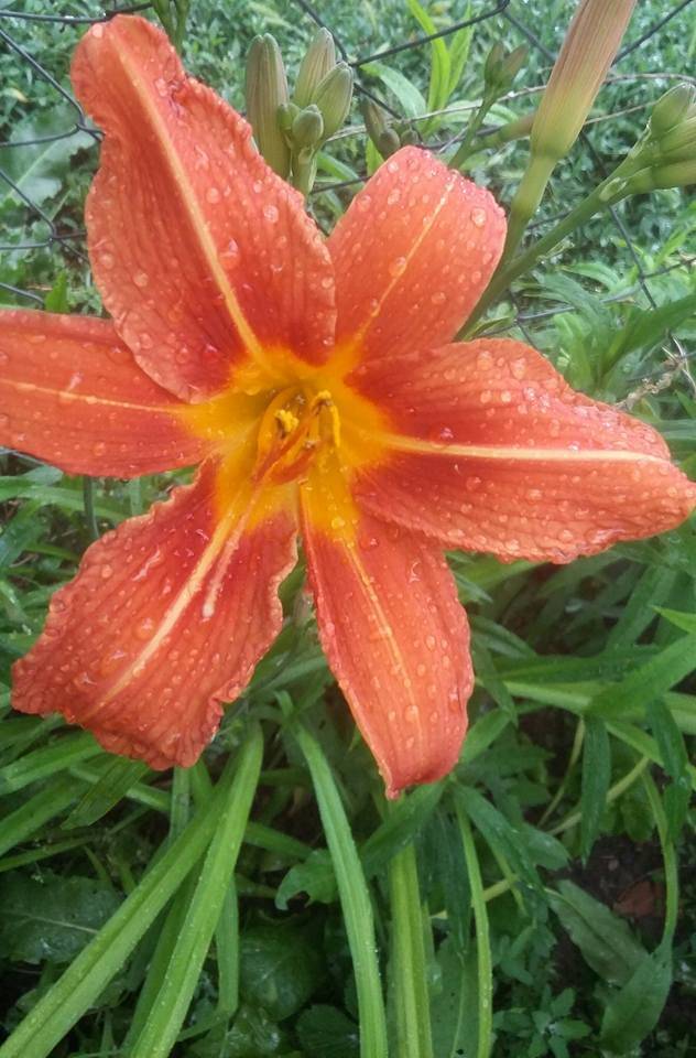 Akdağmadeni Bulgurlu Köyü Resimleri 5