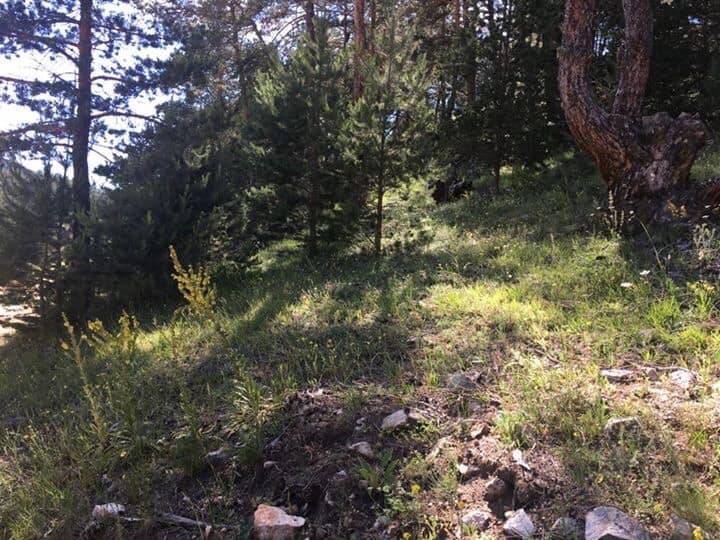 Akdağmadeni Çağlayan Köyü Resimleri 5