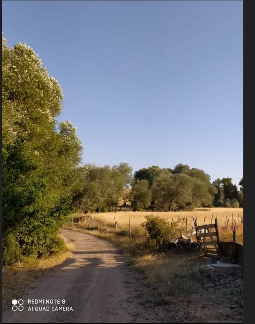 Akdağmadeni Çampınar Köyü Resimleri 9