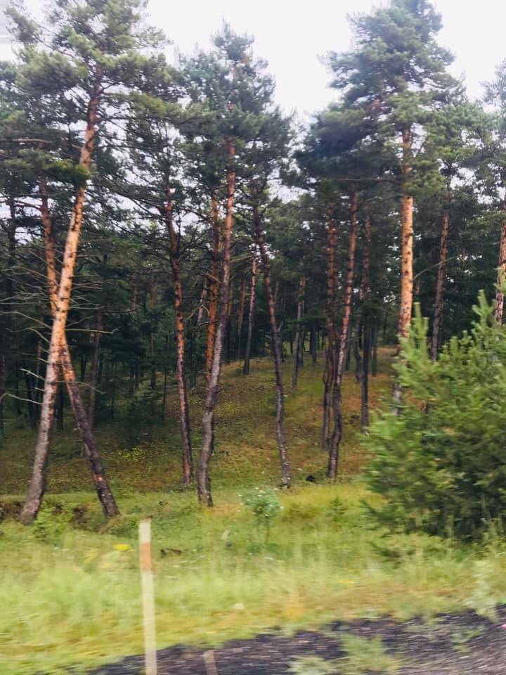 Akdağmadeni Çerçialanı Köyü Resimleri 7