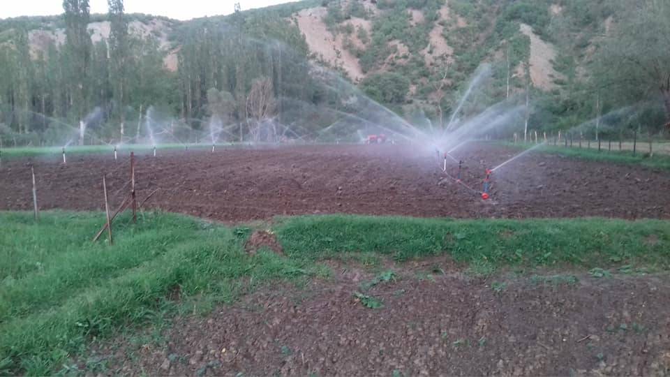 Akdağmadeni Davutlu Köyü Resşmleri 5