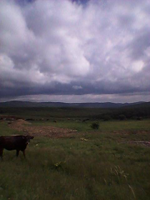 Akdağmadeni Dayılı Köyü Resimleri 3