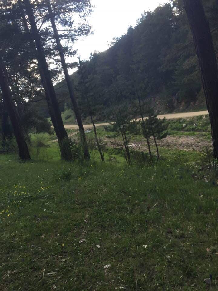 Akdağmadeni Demirşeyh Köyü Resimleri 1