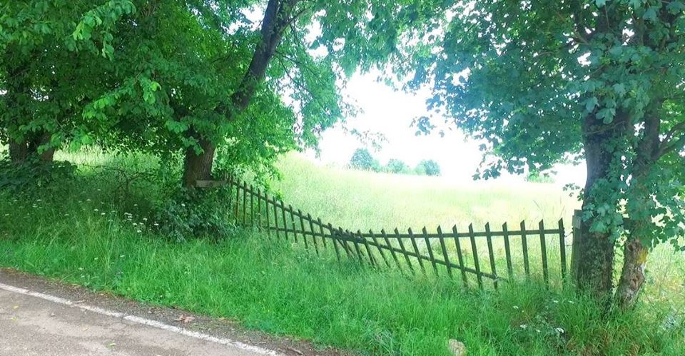 Söğütlü Kurudil Köyü Resimleri 4