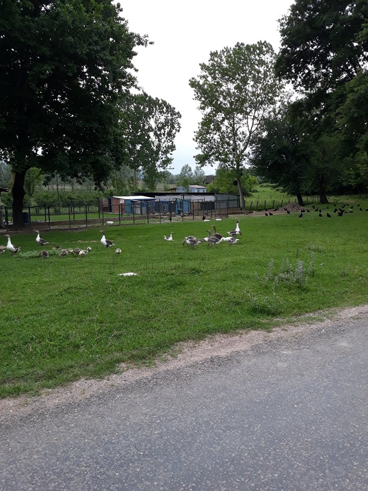 Söğütlü Kurudil Köyü Resimleri 5